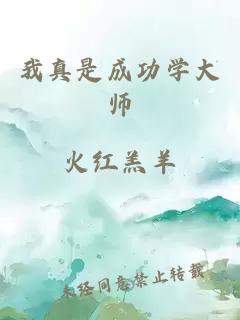 我真是成功學(xué)大師