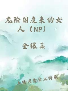 危險國度來的女人（NP）