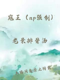 寇王（np強制)